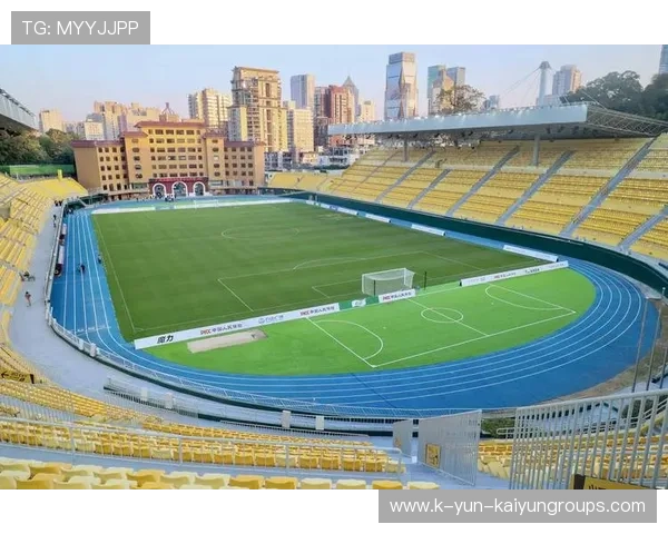 体育场馆多元化利用降低闲置率，提升收益